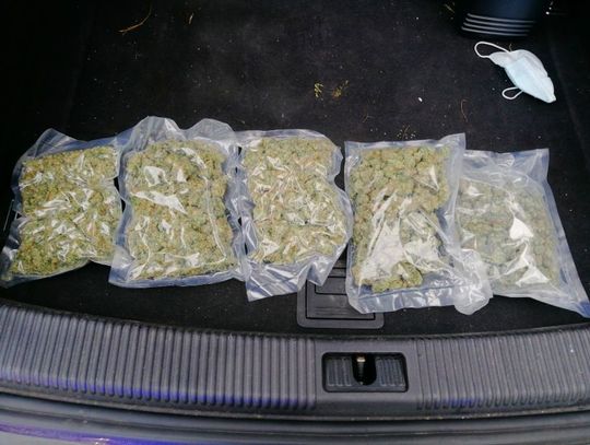 2500 działek marihuany w bagażniku