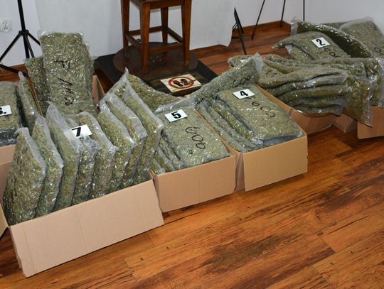58 kg marihuany przechwycone przez zgorzeleckich pograniczników
