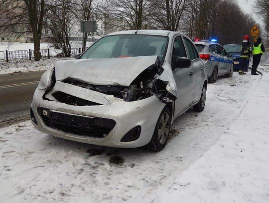 Aktualizacja. Dzik spadł na maskę nadjeżdżającego auta