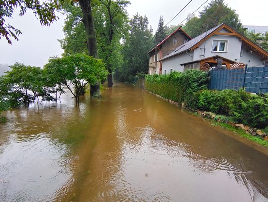 Aktualna sytuacja w Gminie Lubań