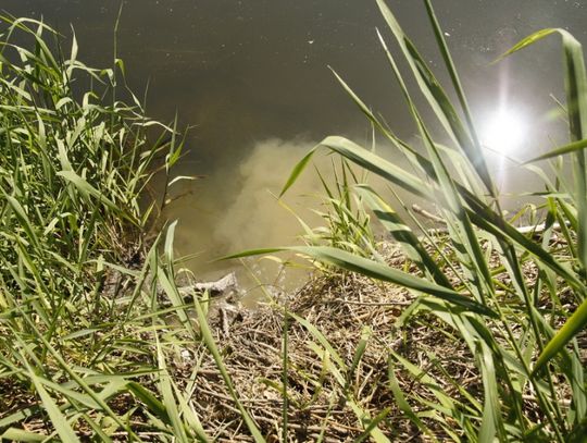 Aktywne działania nad wodą