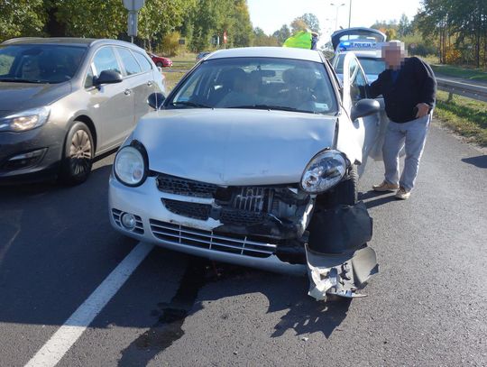 Biegający luzem pies przyczyną kolizji