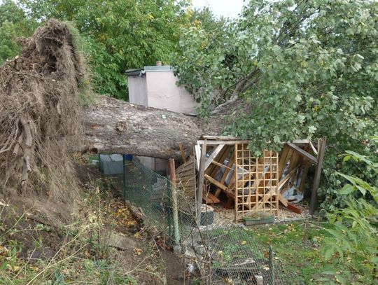 Bilans wczorajszych wiatrów, zawalony dach i zburzona altana