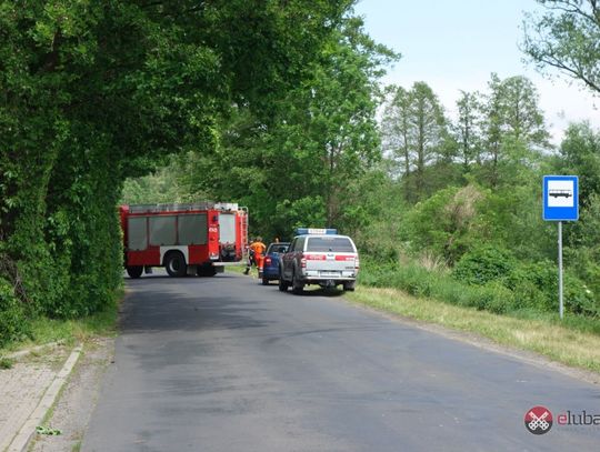 Bobry przyczyną zamknięcia drogi