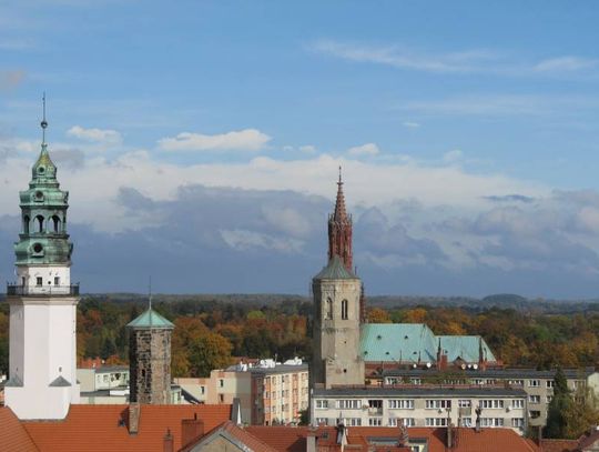 Czego potrzebujemy? Ankieta dla przedsiębiorców