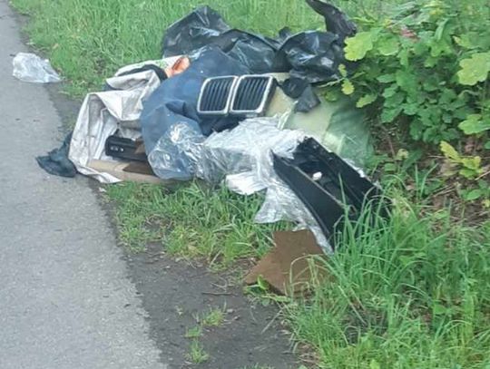 Czyja zguba?