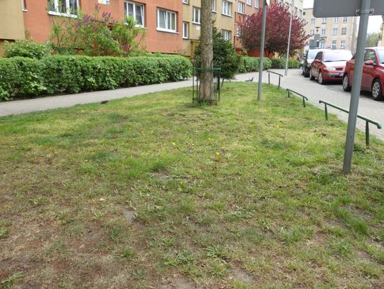 Czytelnicy alarmują - jest susza a koszą trawniki
