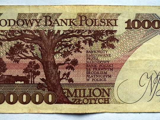 Dodatkowy milion dla lubańskiej oświaty?
