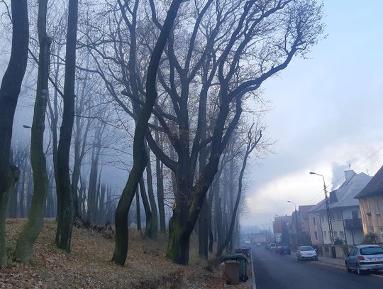 Dolny Śląsk wspiera wymianę starych kotłów