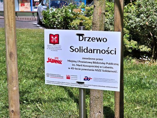 Drzewo Solidarności w Parku Niepodległości