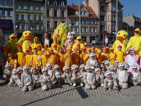 Duże i małe, zające, kurczaki i kaczuszki