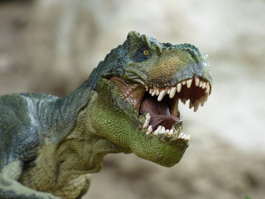 Dziś Dzień Dinozaura