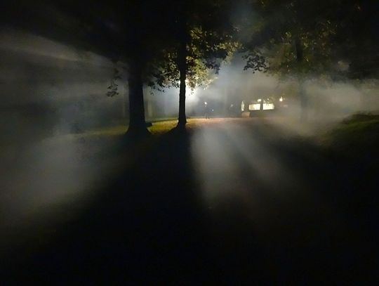 Dziś Międzynarodowy Dzień UFO