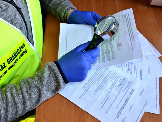 Firma budowlana nielegalnie zatrudniała 20 cudzoziemców