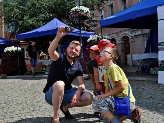 GEOstrefa na Sudeckim Festiwalu Minerałów