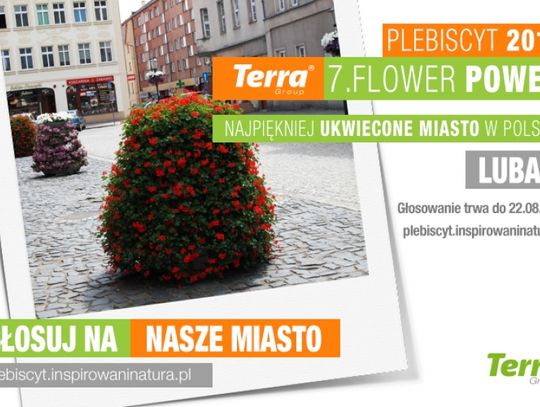 Głosujemy na najładniej ukwiecone miasto