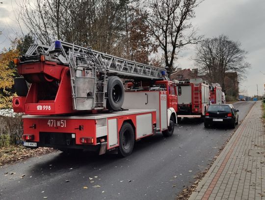 Głupi wybryk mieszkańca Olszyny