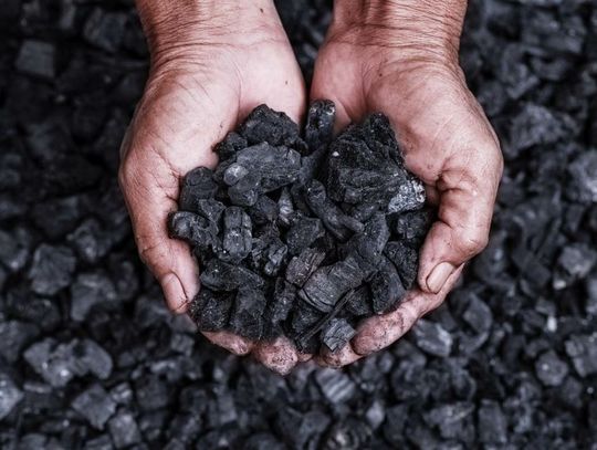 Gmina Lubań również przyjmuje od mieszkańców zapotrzebowanie na węgiel