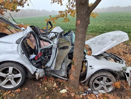 Dwie osoby, w tym dziecko, ranne w wypadku pod Kruszynem – strażacy użyli narzędzi hydraulicznych