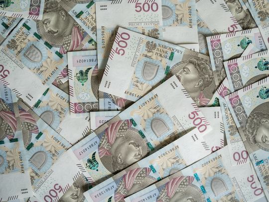 Jawność w praktyce. Zarobki, auta i kredyty władz Leśnej