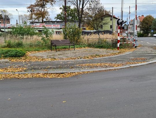 "Jezioro Dworcowe" niedługo wyschnie
