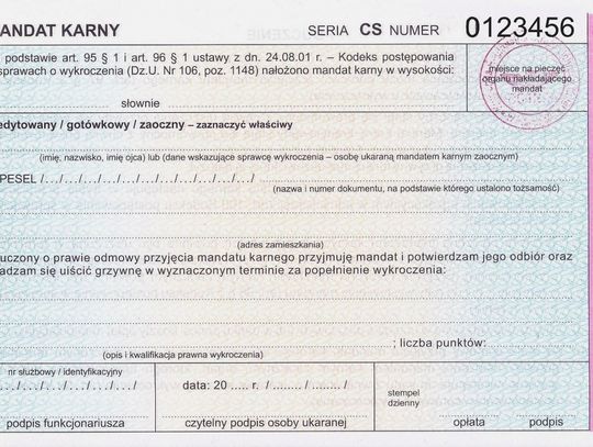 Już niedługo liczbę punktów karnych sprawdzisz online