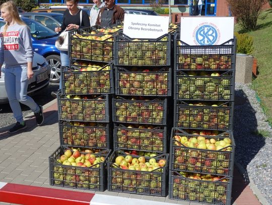 Już teraz. Dwa świąteczne TIR-y jabłek