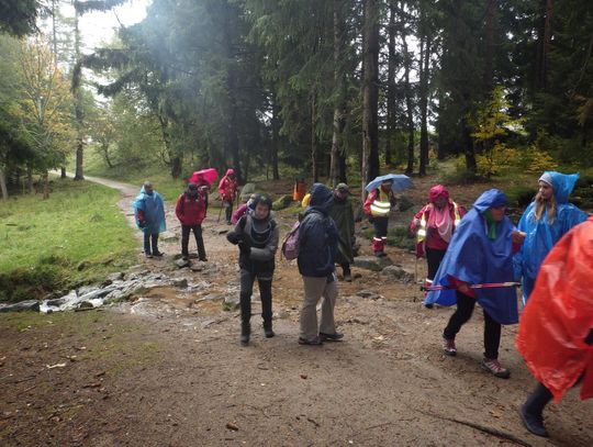 Kalendarz imprez turystycznych Oddziału Łużyckiego PTSM w Lubaniu na rok 2019 