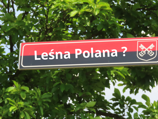 Kłopot z nazwą ulicy. Radni dyskutują „Drużynowa”,„Leśna Polana”, a może Braterska?