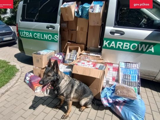 Kolejna kontrola targowiska w Sieniawce i kolejny sukces celników