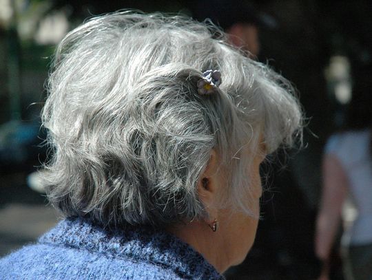 Kolejne aresztowania w sprawie wyłudzenia 800 tys. od mieszkanki Lubania