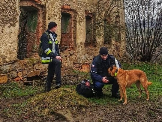Kolejny dzień poszukiwań 86-letniego mieszkańca Marczowa