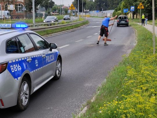 Kolizja na zwężeniu ul. Warszawskiej