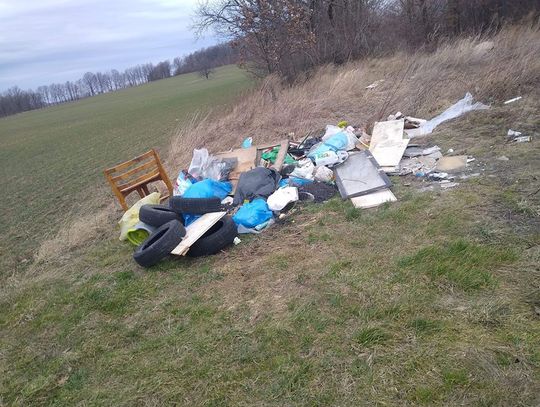 Ktoś porzucił śmieci w Miłoszowie. Teraz je sprząta bo zostawił swoje dane