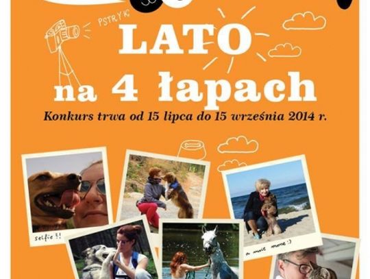 Lato na czterech łapach