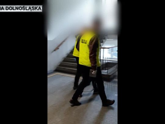 Leśna. Zatrzymano seryjnych włamywaczy