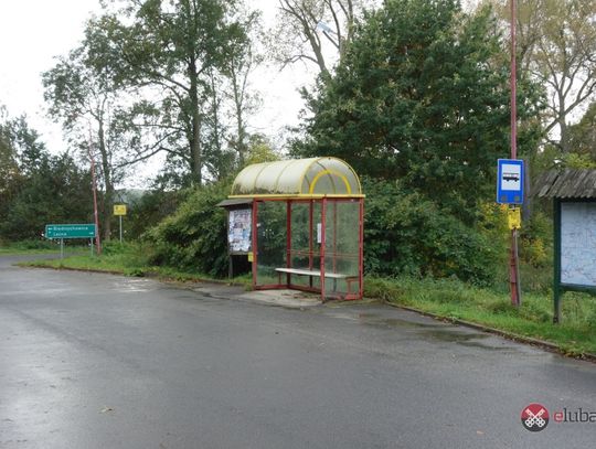 Linia autobusowa do likwidacji?