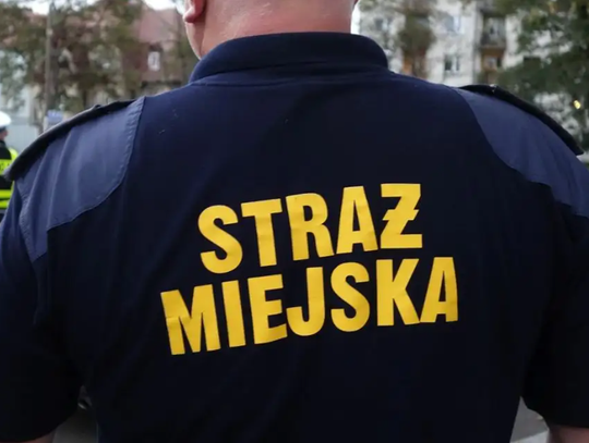 Lubań. Rosły 35-latek kontra radiowóz straży miejskiej