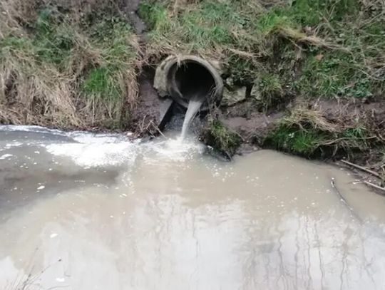 Lubań. Ścieki w deszczówce? Ruszają kontrole kanalizacji