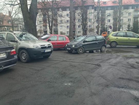 Mistrzowie parkowania