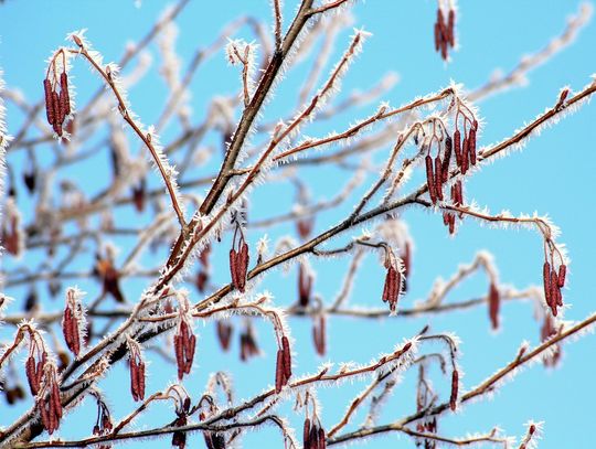 Mroźne noce w regionie. Przy gruncie temperatura spadnie nawet do -14°C