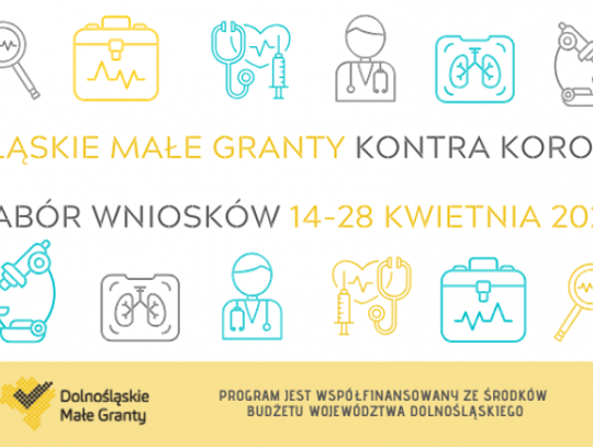 Nabór. Dolnośląskie Małe Granty