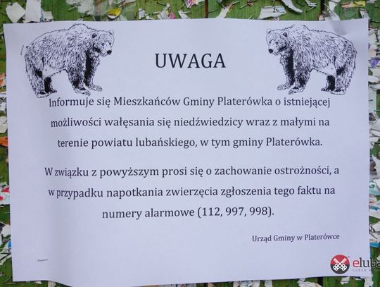 &quot;Najbardziej przypominało niedźwiedzia&quot;