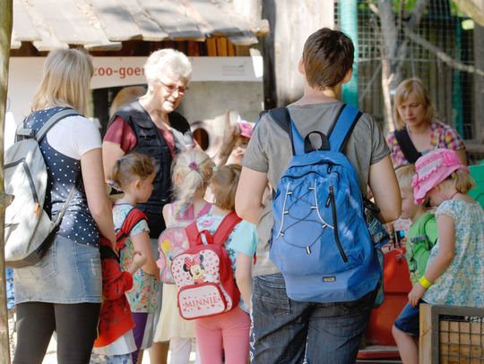 Nasze Zoo Görlitz-Zgorzelec poszukuje wolontariuszy