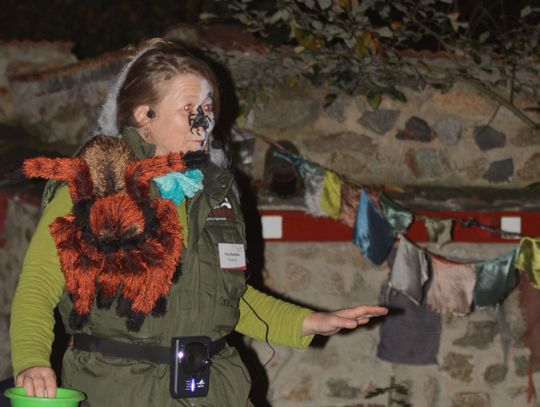Nasze Zoo strasznie zaprasza na Halloween