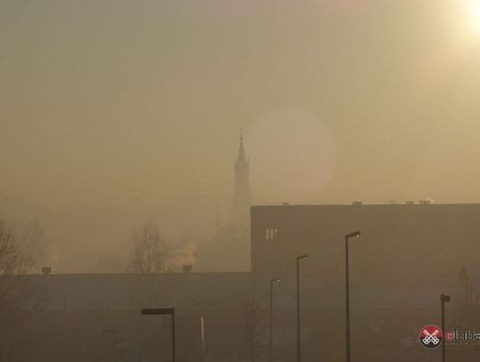 Nie jesteśmy zielonymi płucami regionu