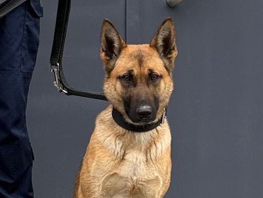 Nowa w szeregach lubańskiej policji