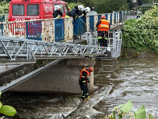 Nowogrodziec. Usunięto pień tworzący zator na Kwisie