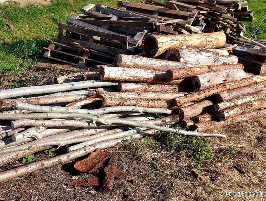 Nowogrodziec. Złodzieje wycięli 268 drzew z prywatnego terenu