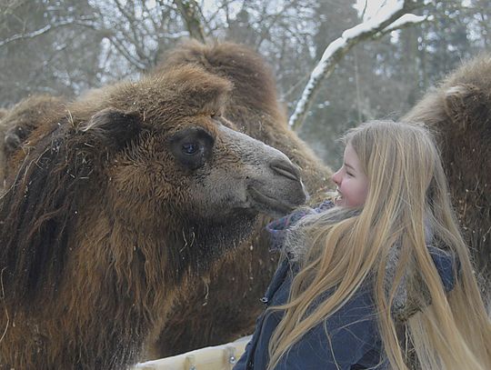 Obdarowywanie zwierząt mieszkających w Naszym Zoo!